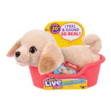 LLP MRR S2 PUPPY MINI-BUDDY