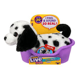 LLP MRR S2 PUPPY MINI-PEPPER
