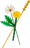 30701 Field Flowers V29