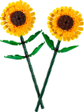 40524 Sunflowers