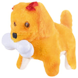 P.JOY TRENDY WALKING DOG L&S B/O
