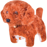 P.JOY TRENDY WALKING DOG L&S B/O