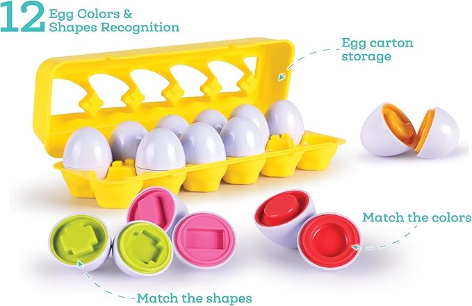 Egg Shape Sorter