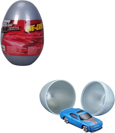 FRESH METAL EGG IN DISPLAY (16201)
