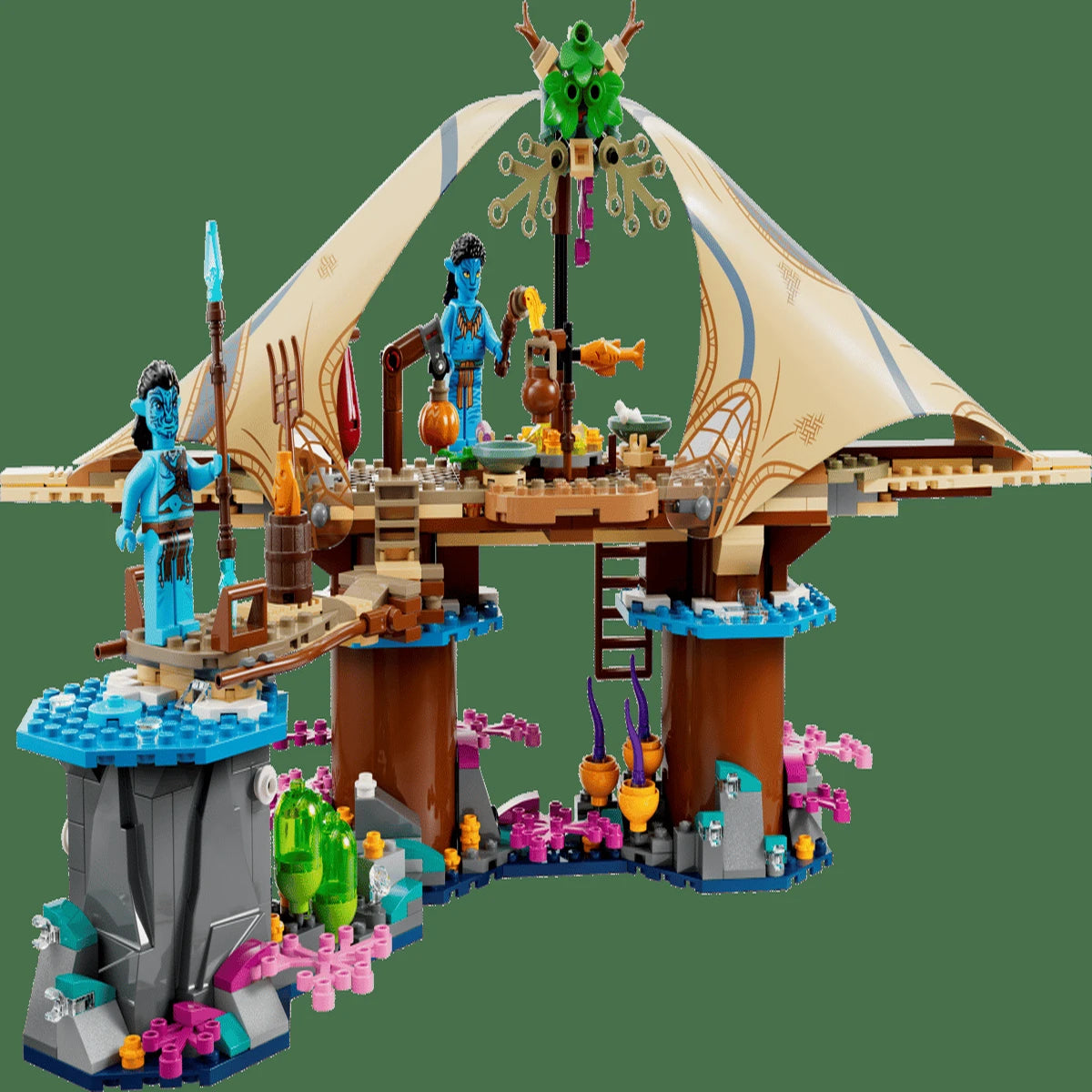 75578 tbd-Coconut-2023-4