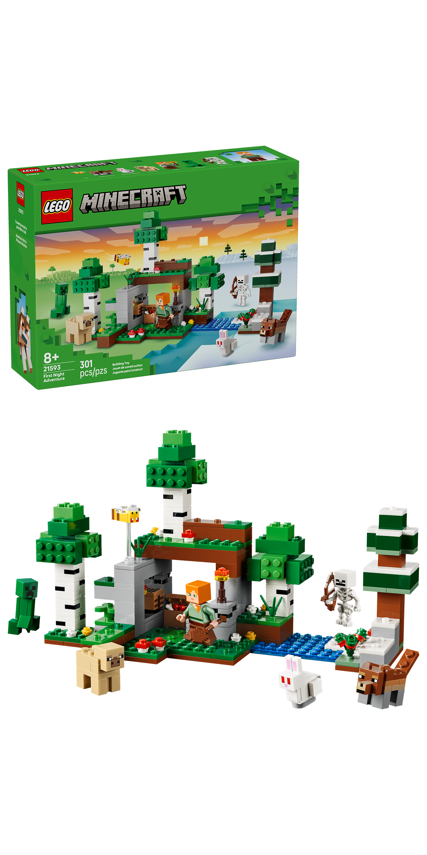 21593 First Night Adventure V29