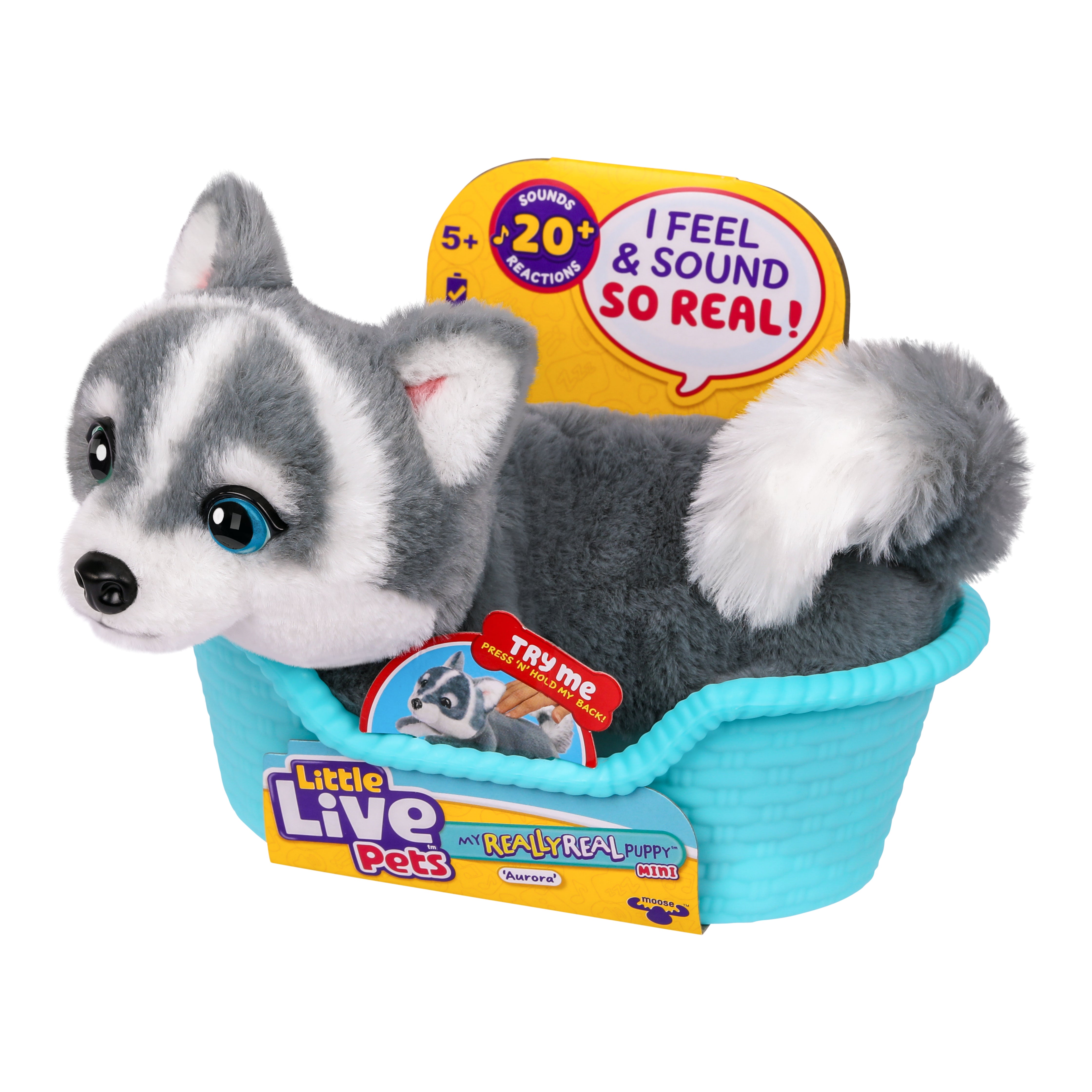 LLP MRR S2 PUPPY MINI- AURORA