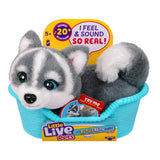 LLP MRR S2 PUPPY MINI- AURORA
