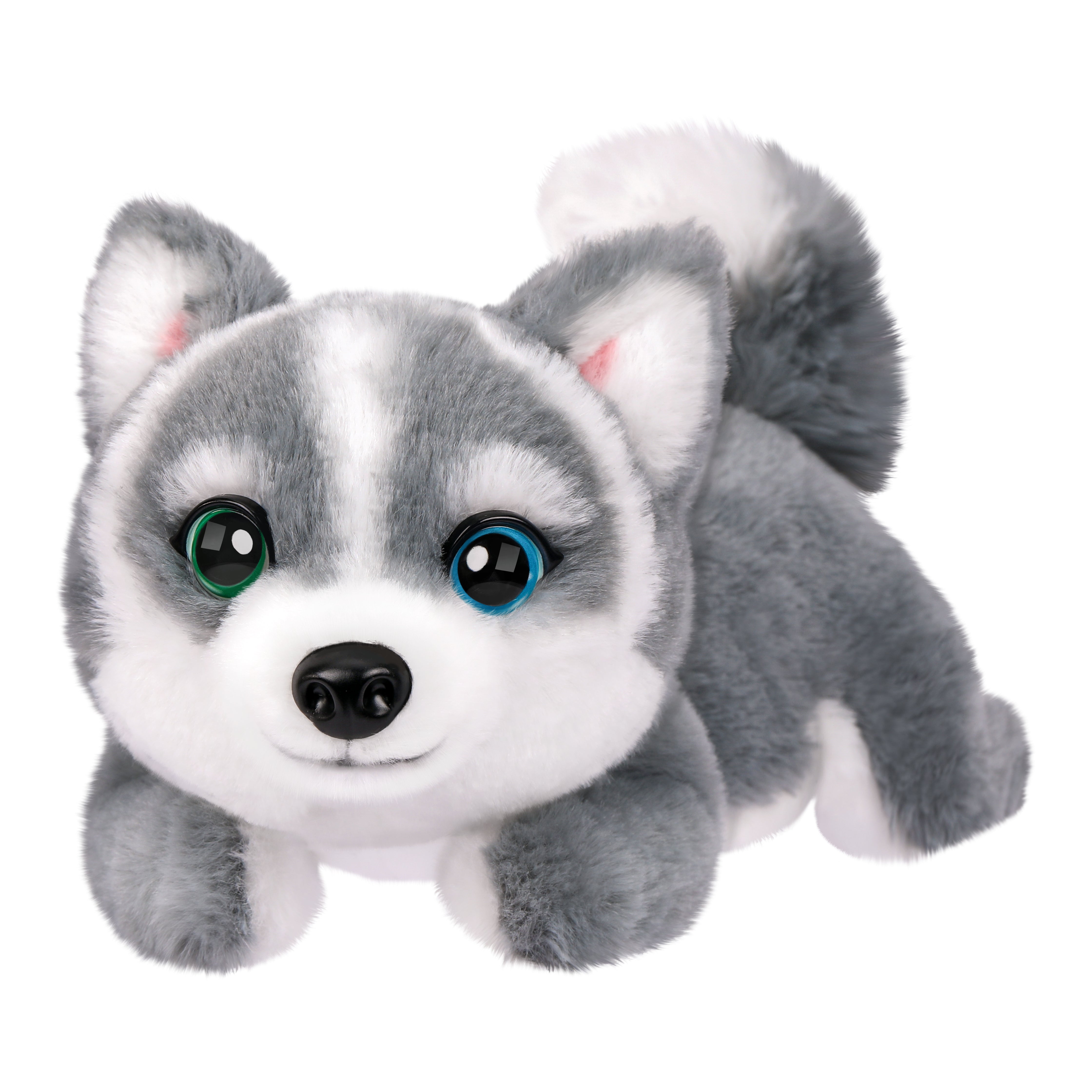 LLP MRR S2 PUPPY MINI- AURORA