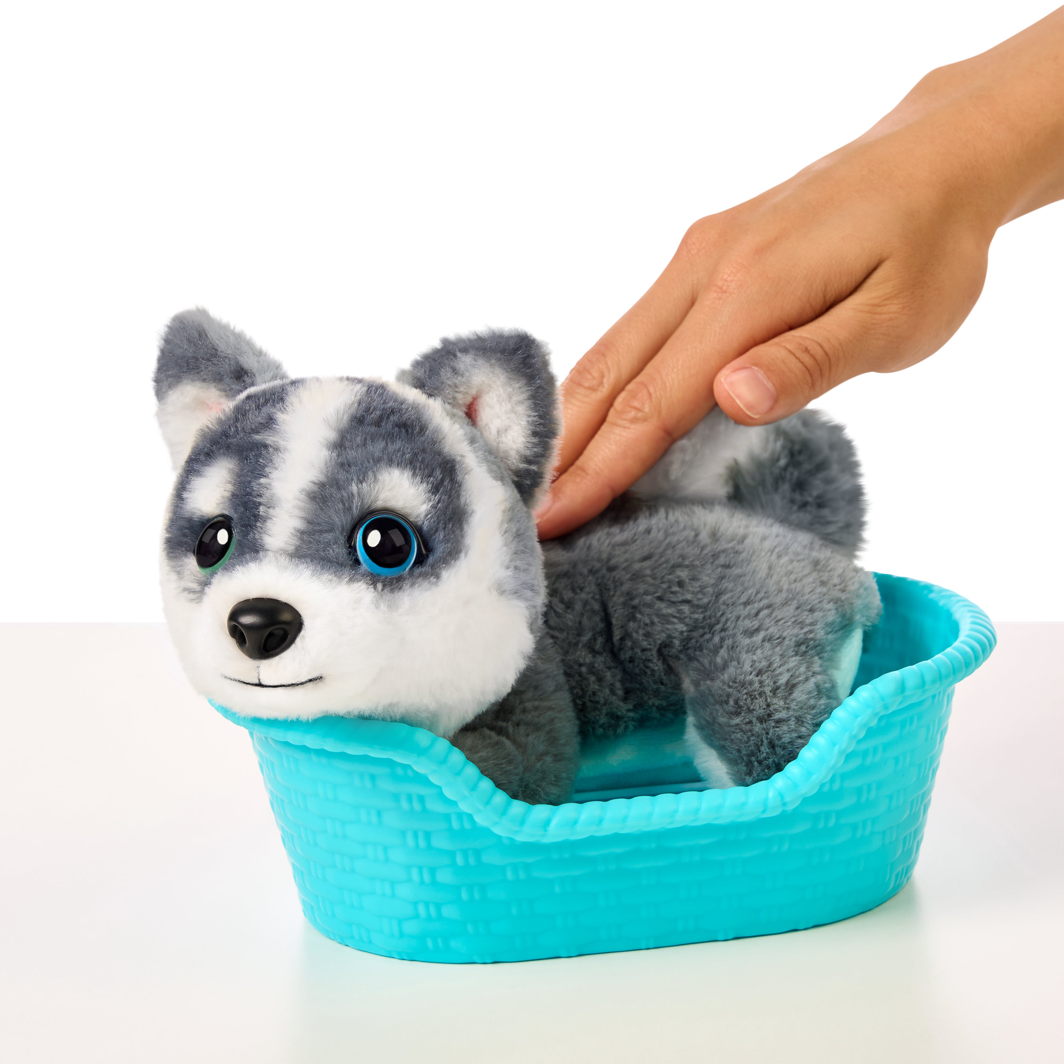 LLP MRR S2 PUPPY MINI- AURORA
