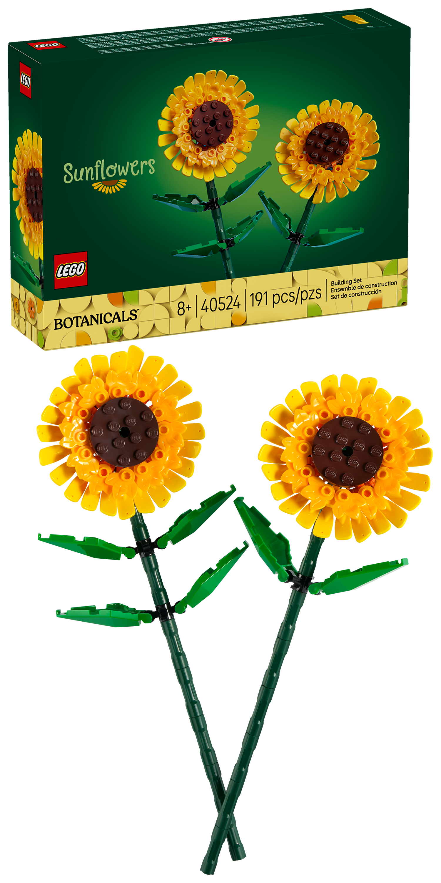 40524 Sunflowers