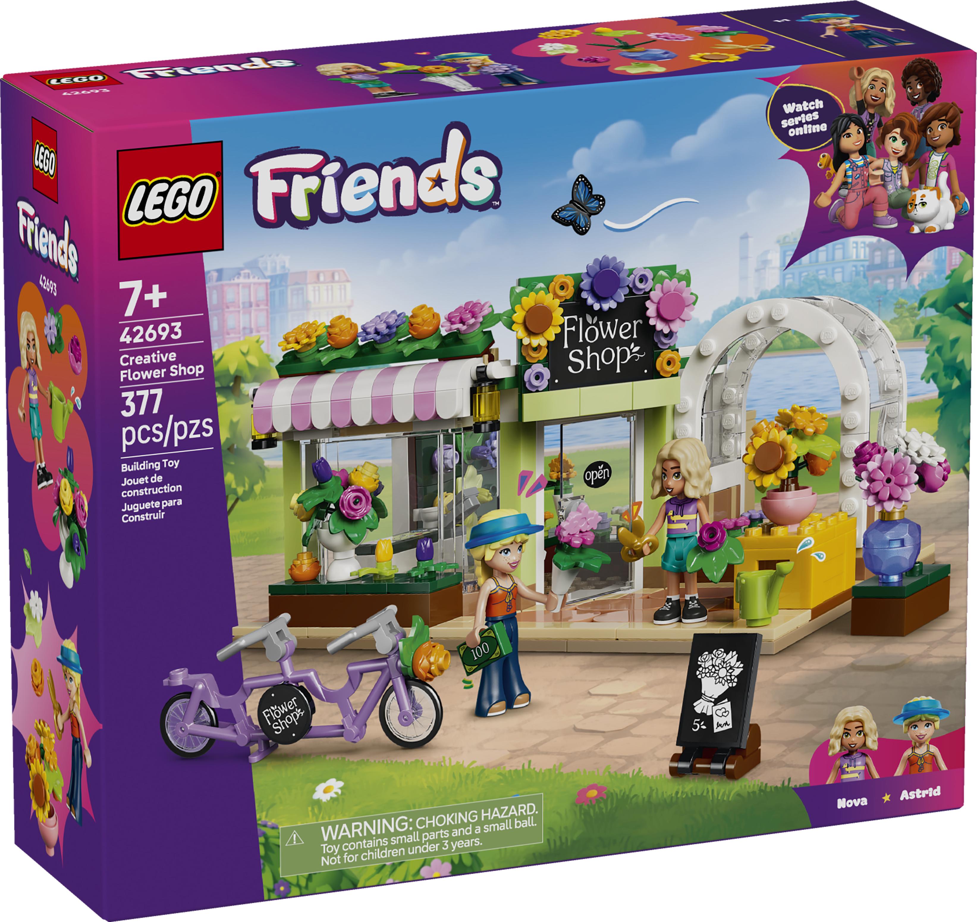 42693 Creative Flower Shop V29