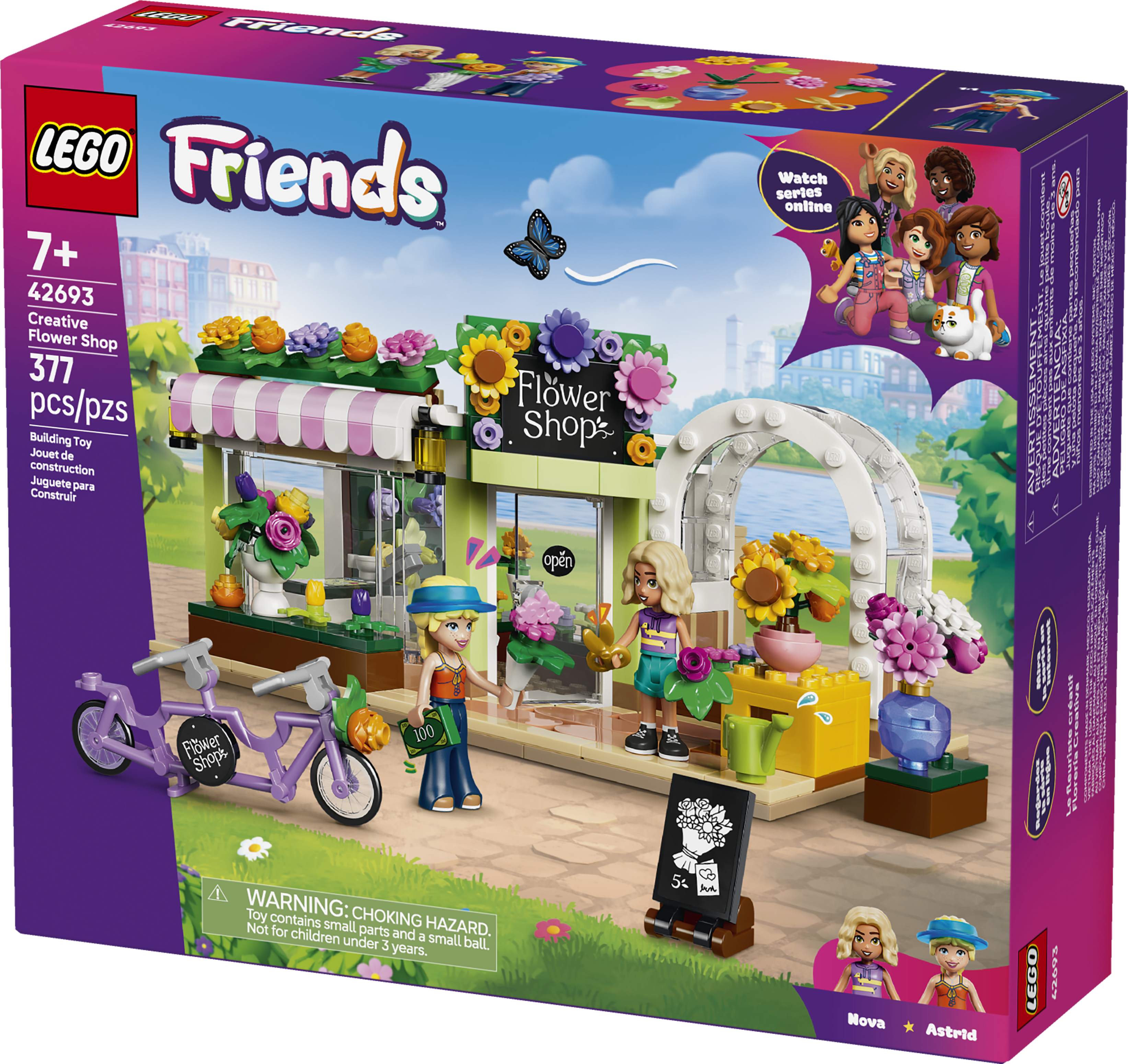 42693 Creative Flower Shop V29