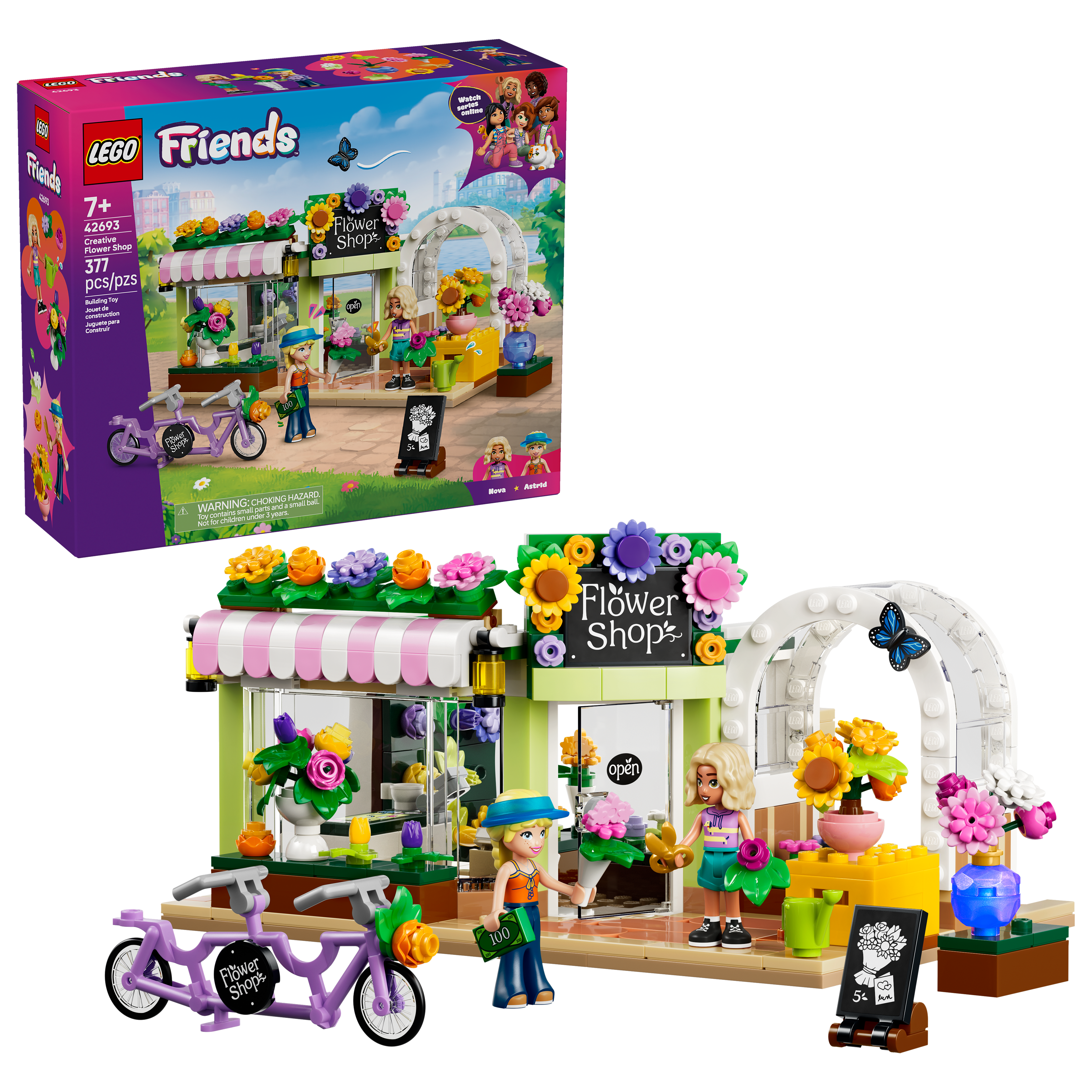 42693 Creative Flower Shop V29