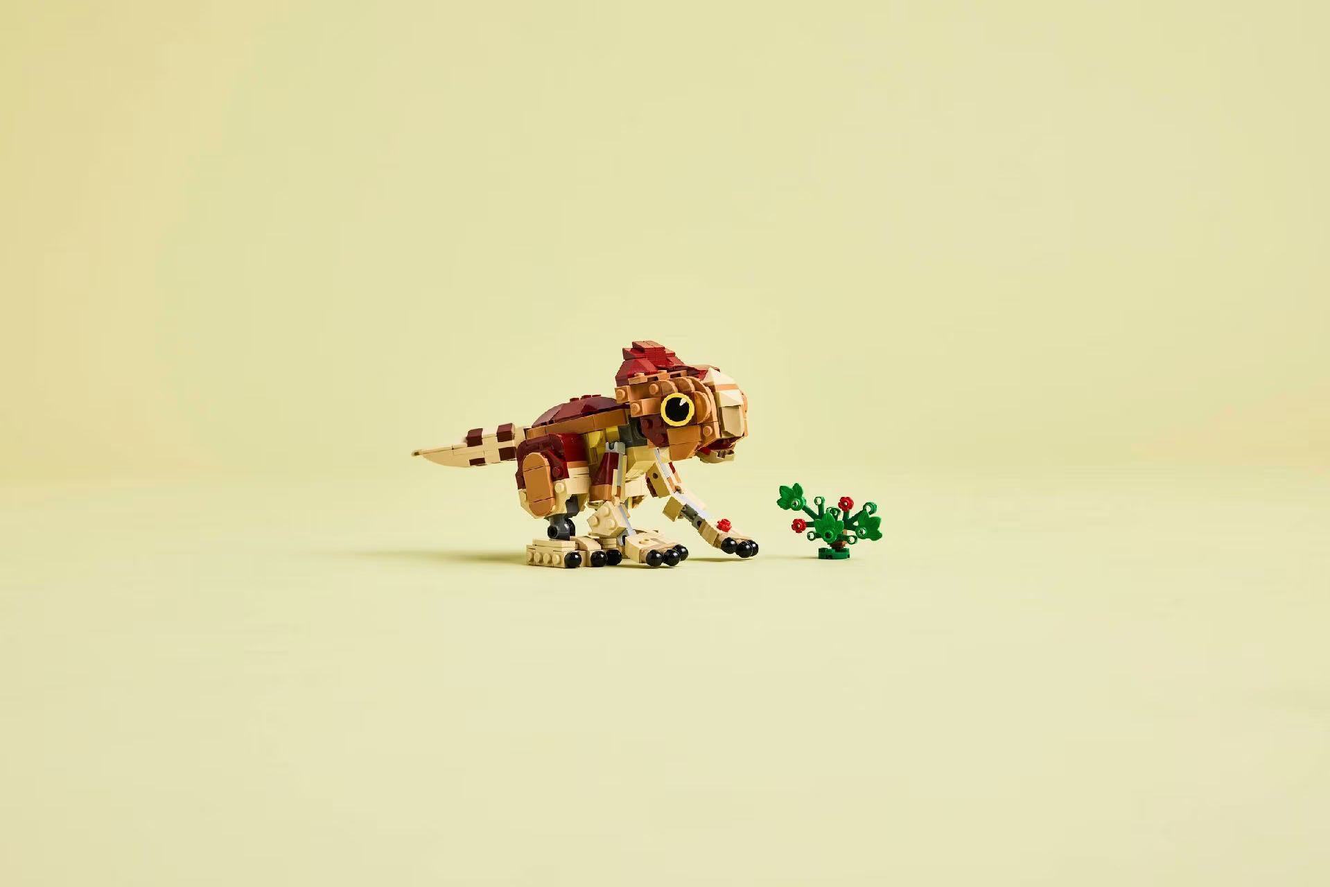 76970 Baby Dinosaur Dolores: Aquilops _x000D_